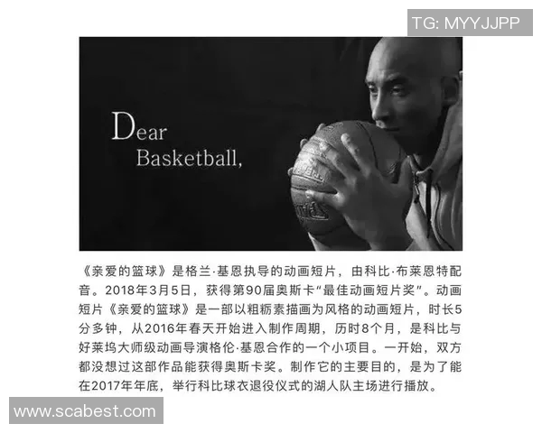篮球明星的魅力与成就探秘他们的技能特点与个人风格分析